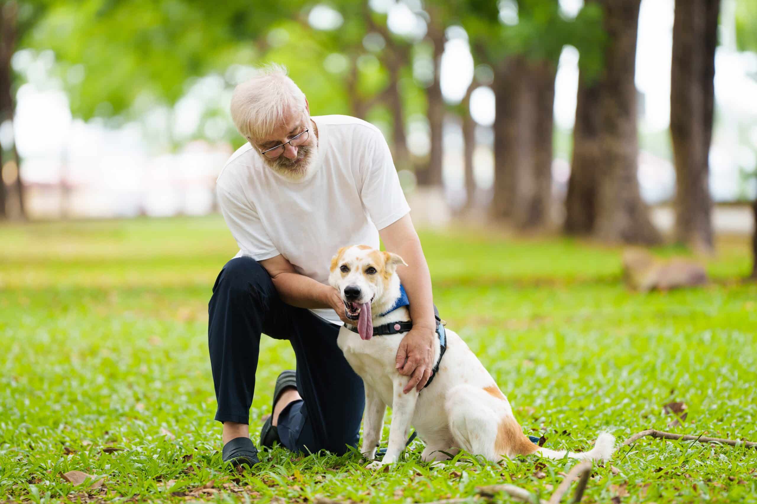 Senior man taking a break while on a walk with his dog